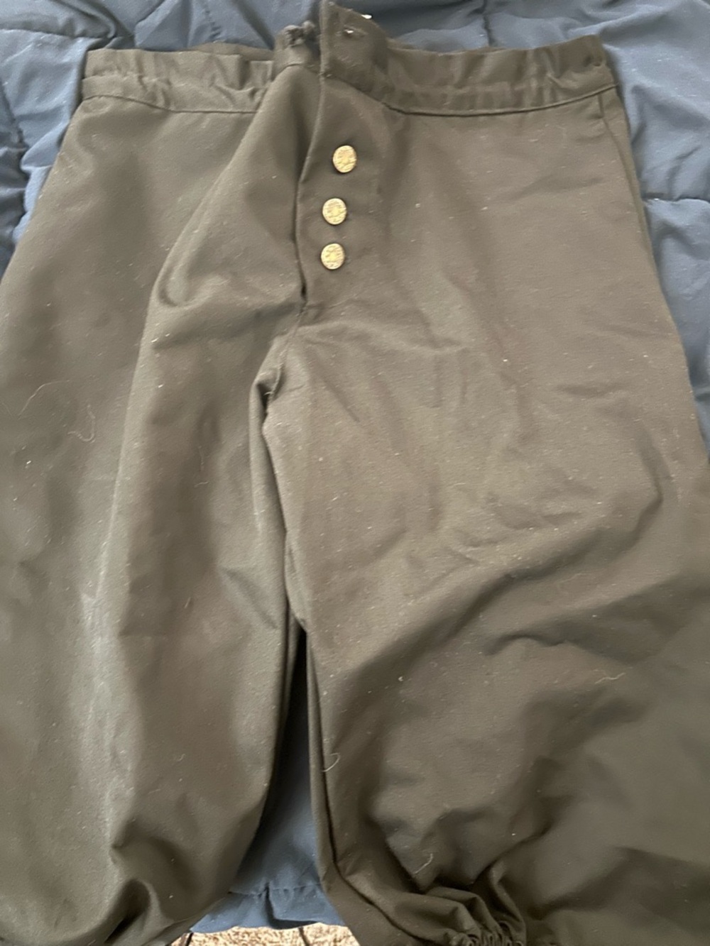 Renaissance Men Knee Breeches
